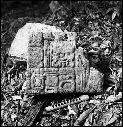 Stela 3 at Piedras Negras