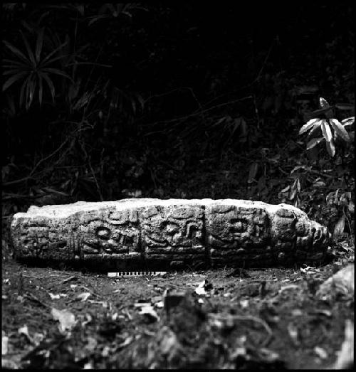 Stela 1 at Piedras Negras