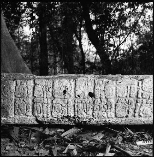 Stela 1 at Piedras Negras