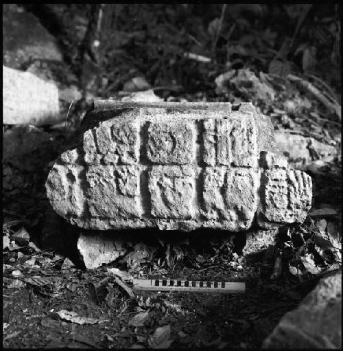 Stela 4 at Piedras Negras