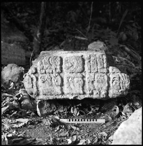 Stela 4 at Piedras Negras