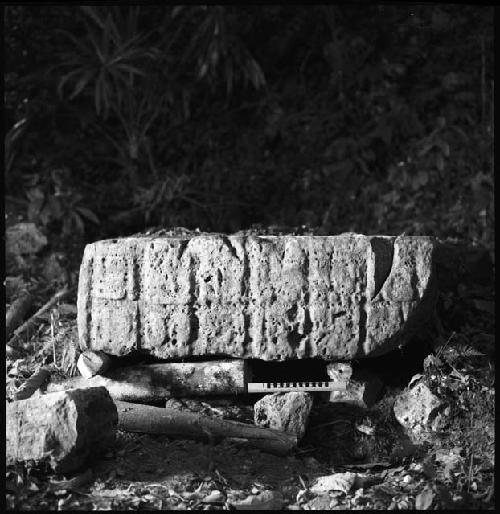 Stela 1 at Piedras Negras