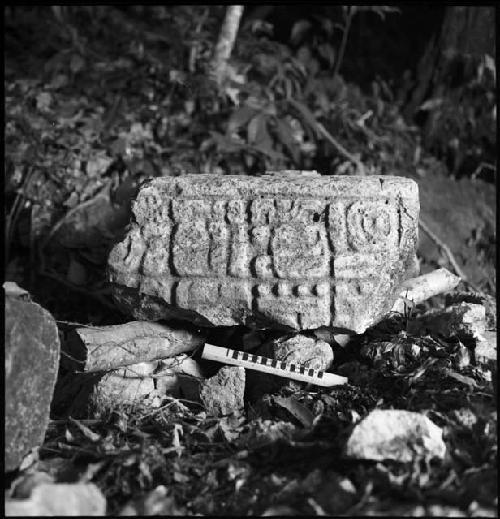 Stela 3 at Piedras Negras