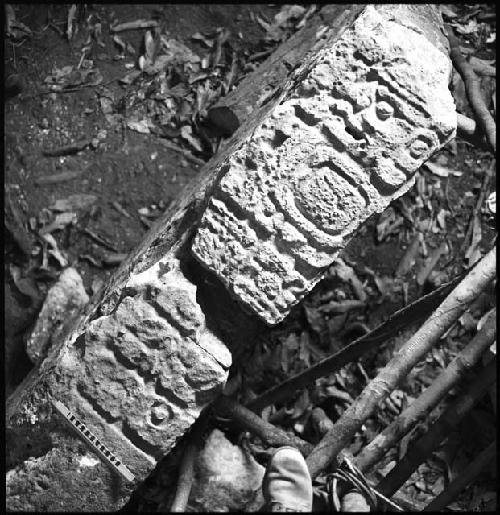 Stela 1 at Piedras Negras