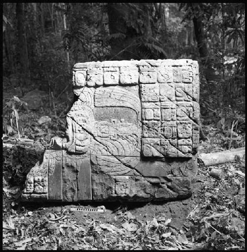 Stela 1 at Piedras Negras