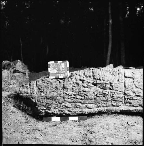 Stela 24 at Xultun