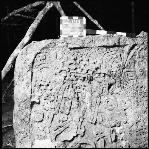 Stela 24 at Xultun