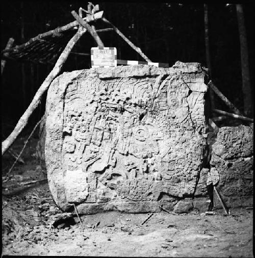 Stela 24 at Xultun