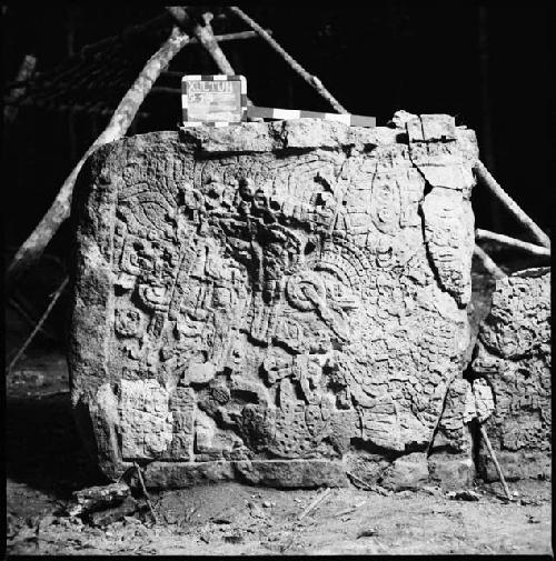 Stela 24 at Xultun