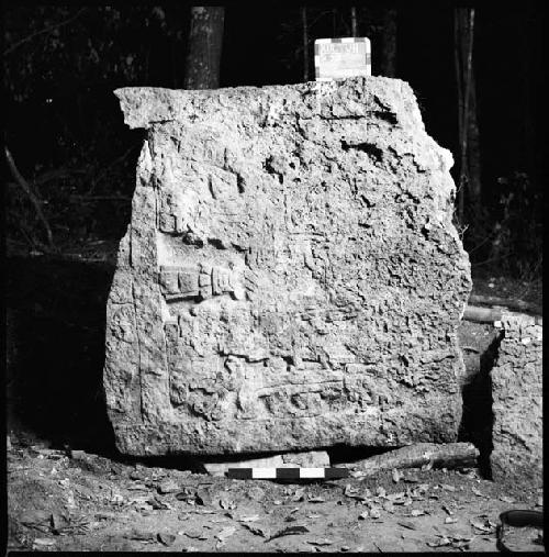 Stela 23 at Xultun