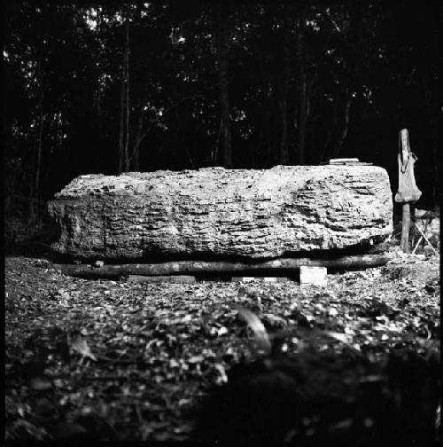 Stela 15 at Xultun