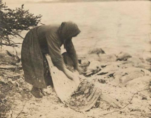 Woman defleshing (?) and working skin by lake.