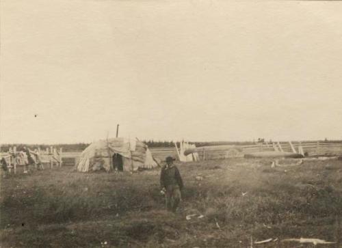 View of Wongunigan hut (Bergimis) in pasture (?).