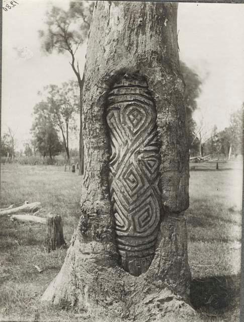 Carved tree