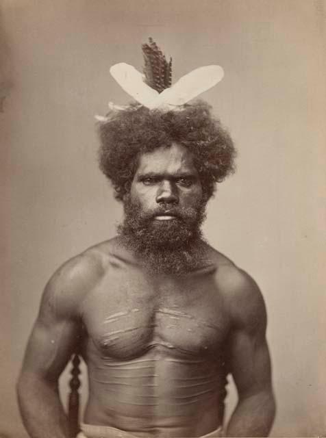 Studio portrait of an Aboriginal man wearing a feather headdress and showing ritual scarification across chest and abdomen