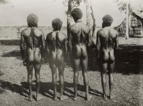 Four Bathurst Island Men showing Ritual Scarification on their Backs