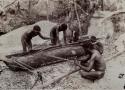 Group of five Aboriginal men making a canoe