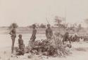 Group of Aboriginal men, women, and a young child photographed near two low lying shelters