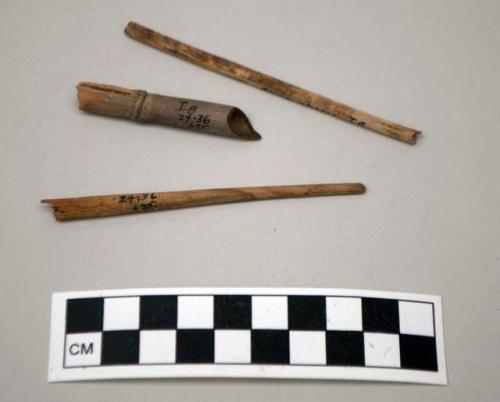 Cane and 2 wooden (?) artifacts