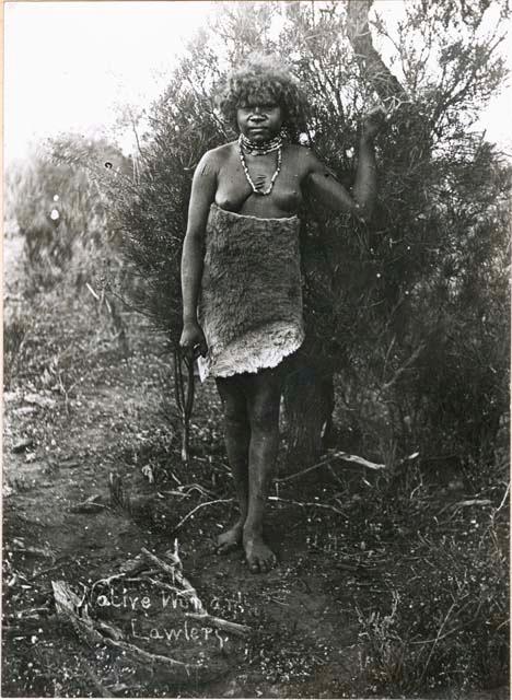 Laelers Native Girl with Kangaroo skin booker.