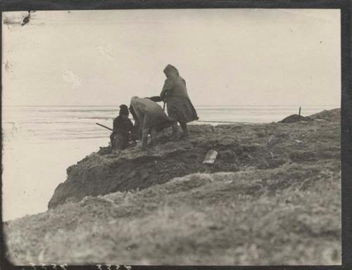 Digging on southeast point of Flaxman Island