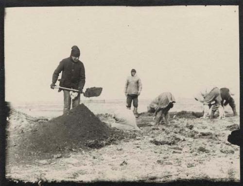 Digging A6 - sifting sand after digging with knives