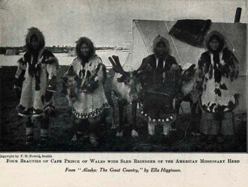 Four Inuit women standing in front of a tent with a reindeer