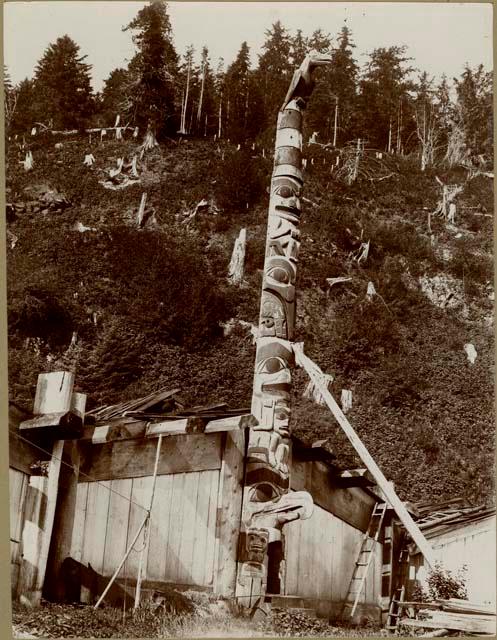 Totem pole; New Gold Harbor (Xaina)