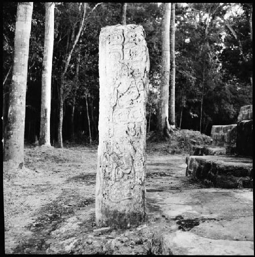 Stela 20 at Uaxactun