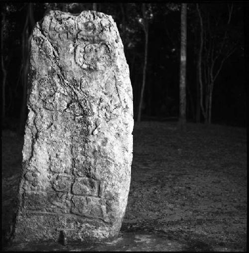 Stela 20 at Uaxactun