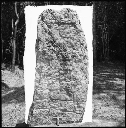 Stela 20 at Uaxactun