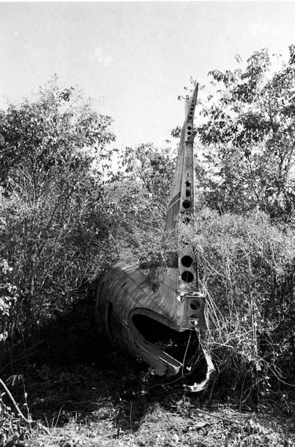 Crashed looters' plane at Quintana Roo