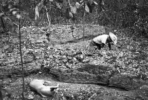 Man excavating with dog