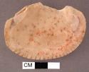 Shell, bivalve fragment with traces of red pigment on the interior