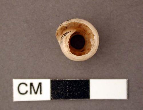 Shell, univalve fragment worked, possible bead