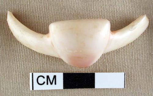 Bracelet fragment from umbo of glycymeris shell