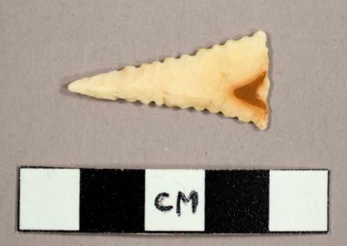 Cast of a Cahokia serrated point