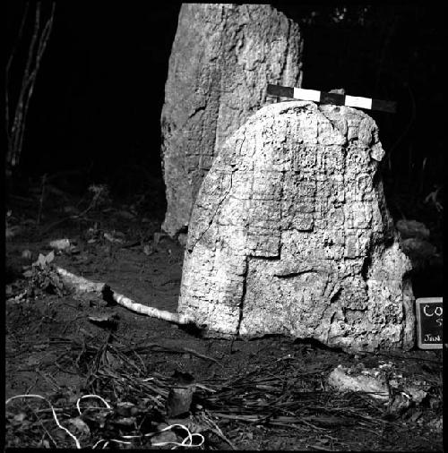 Stela 5 at Coba