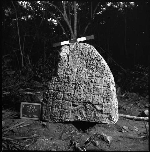 Stela 5 at Coba