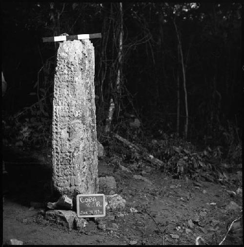 Stela 5 at Coba