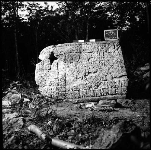 Stela 6 at Coba