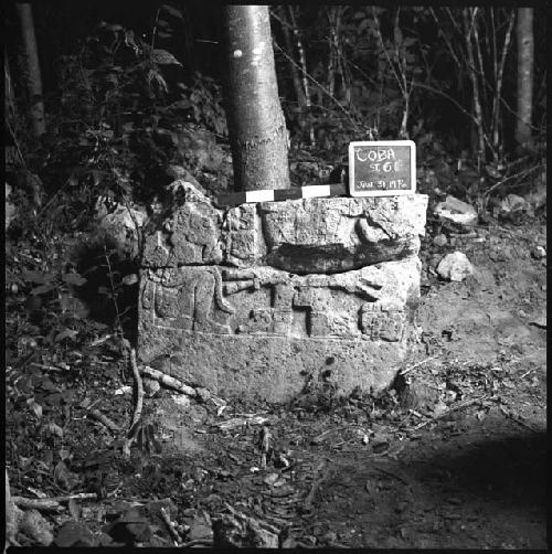 Stela 6 at Coba