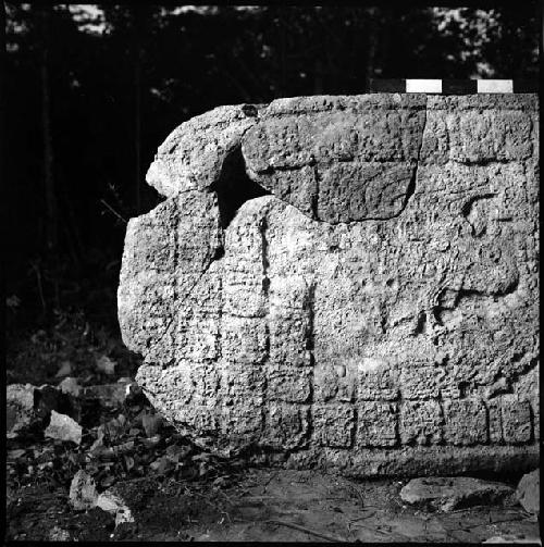 Stela 6 at Coba