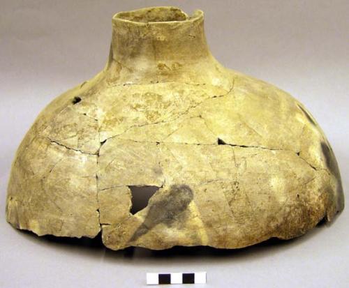 Shoulder, neck, base, and 3 sherds of large mottled jar.