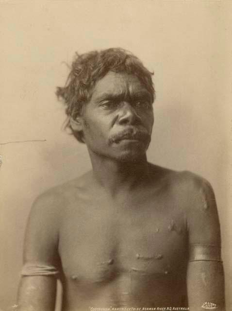 Portrait of an Aboriginal Man called Coothunda, of the Karundee Tribe