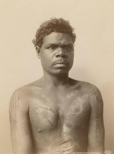 Portrait of Jerang, an Aboriginal Man of the Karundee Tribe