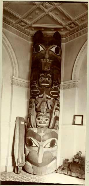 Haida totem pole from Massett photographed in B. C. Provincial Museum, Victoria.