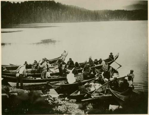 Quatsino people arriving at Winter Harbor in canoes with prospective bride