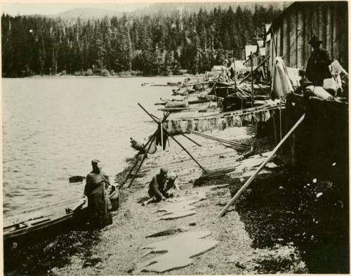 Woman unloading halibut from a canoe. Man and child sitting on shore.