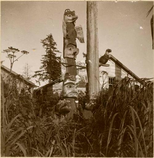 Totem pole. Sanyakoan tribe.